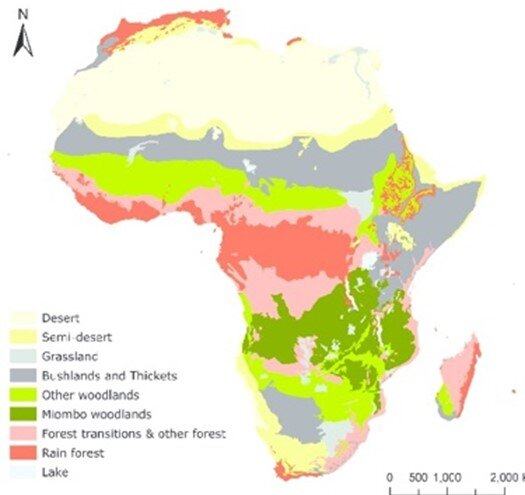  Fig. 3: Map of African vegetation, showing the Miombo woodlands in dark green 